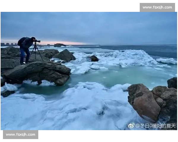 野牛对决棕熊力量耐力与生存智慧的巅峰较量自然荒原中的终极对抗 野牛对决棕熊力量耐力与生存智慧的巅峰较量自然荒原中的终极对抗